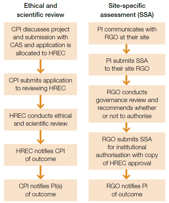 SERP flowchart.png