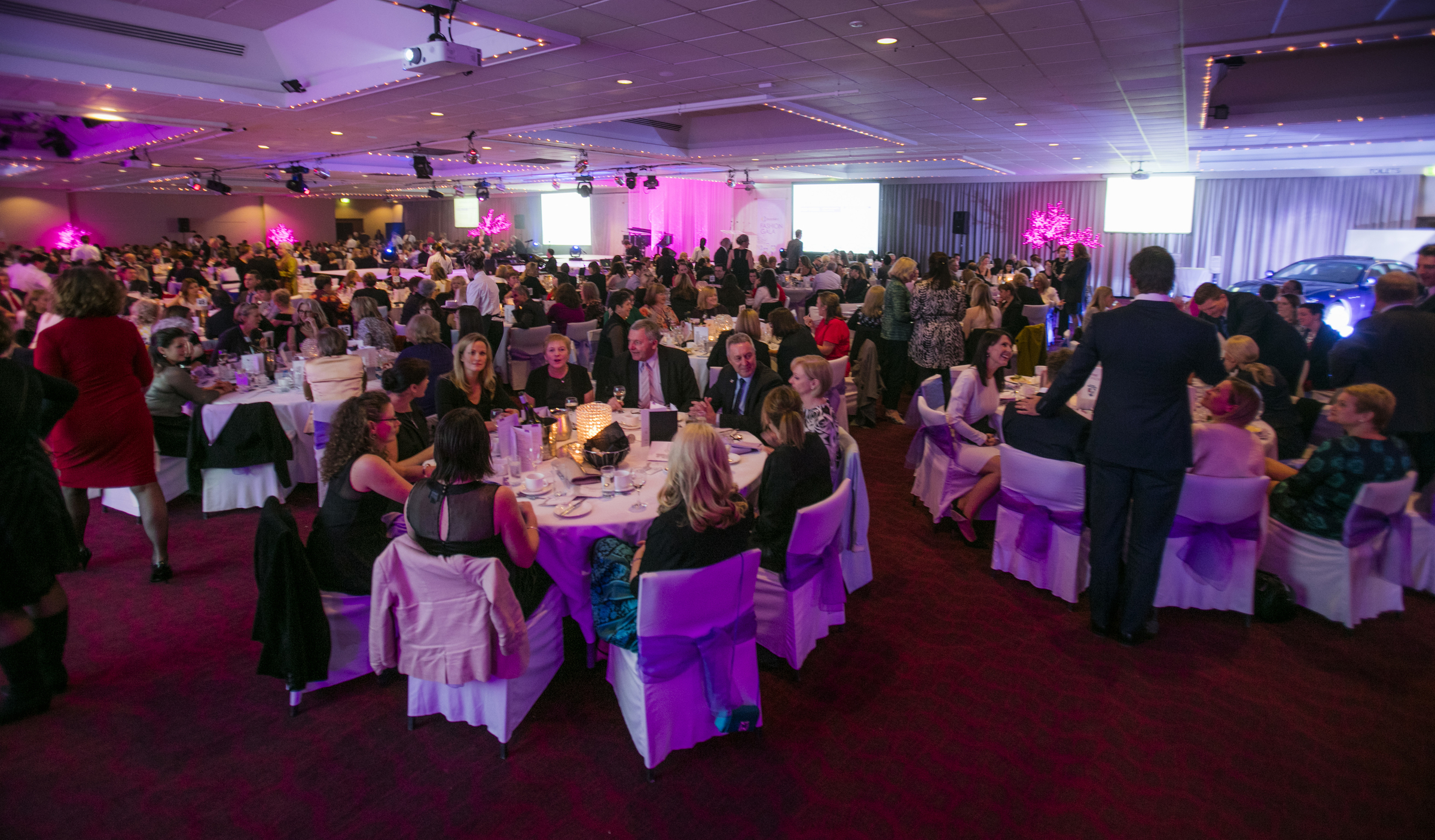 2015 BreastWest Fashion Gala.jpg